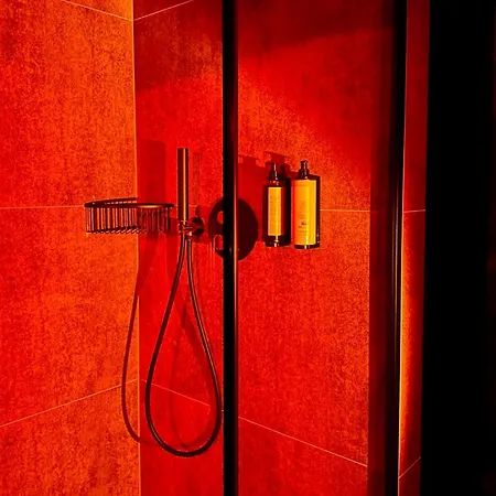 Boogie Papillon 16 *