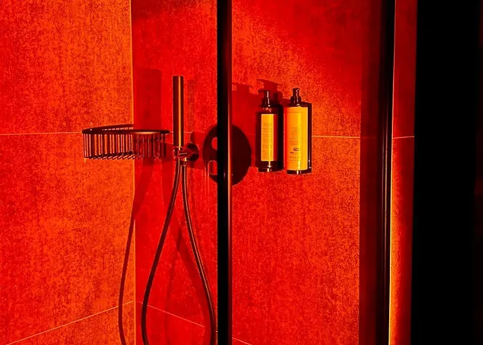 Boogie Papillon 16 *